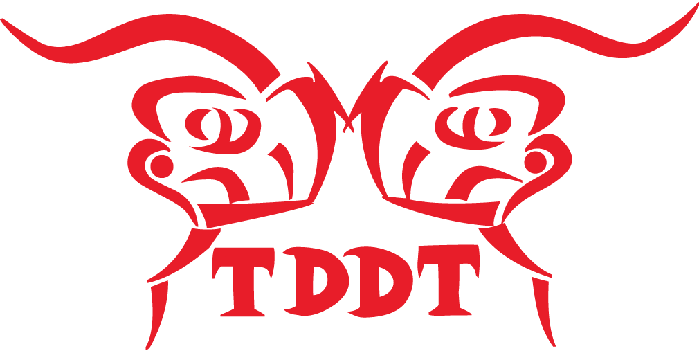The official team logo for the Texas Dragon/Lion Dance Team, set against a solid white background. The logo is rendered entirely in a bold, vibrant red color. It features a stylized, symmetrical graphic of a traditional Chinese lion dance head, split into two mirrored halves facing inward toward each other. The design uses sharp, sweeping lines and abstract curves to define the lion's prominent eyes, brows, and horns, which flare outward at the top left and top right. Centered directly beneath the stylized lion graphic is the team's acronym, "TDDT," printed in a bold, sharp, stylized serif font that mimics the angular aesthetic of the logo artwork.